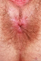 ATK hairy Sia Wood Set