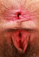 ATK hairy  in young and hairy