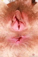ATK hairy Sia Wood Set