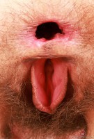 ATK hairy Sia Wood Set