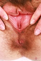 ATK hairy Sia Wood Set