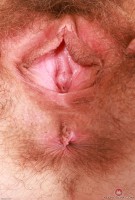 ATK hairy Sia Wood Set