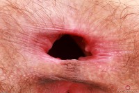 ATK hairy Sia Wood Set