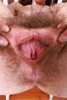 ATK hairy Sia Wood Set