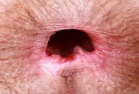 ATK hairy Sia Wood in young and hairy