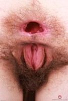 ATK hairy Sia Wood Set