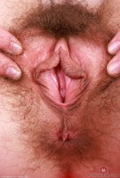 ATK hairy Sia Wood Set