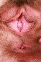 ATK hairy Sia Wood in young and hairy