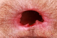 ATK hairy Sia Wood Set