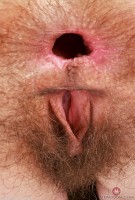 ATK hairy Sia Wood Set