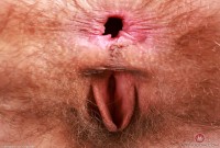 ATK hairy Sia Wood Set