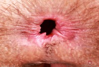 ATK hairy Sia Wood in young and hairy