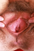 ATK hairy Sia Wood Set