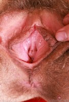 ATK hairy Sia Wood Set