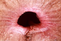 ATK hairy Sia Wood in young and hairy