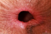 ATK hairy Sia Wood in young and hairy