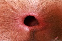 ATK hairy Sia Wood Set