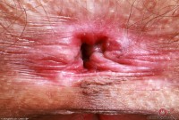 ATK hairy Sia Wood Set