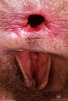 ATK hairy Sia Wood in young and hairy
