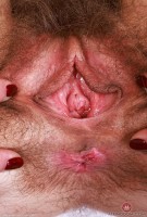 ATK hairy Sia Wood Set