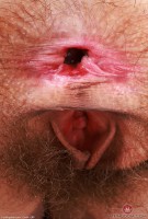 ATK hairy Sia Wood in young and hairy
