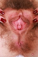 ATK hairy Sia Wood Set