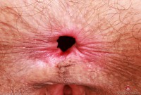 ATK hairy Sia Wood Set