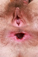 ATK hairy Sia Wood Set