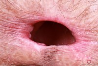 ATK hairy Sia Wood Set