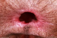 ATK hairy Sia Wood Set