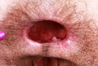 ATK hairy Sia Wood in young and hairy