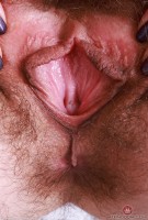 ATK hairy Sia Wood in young and hairy