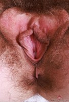 ATK hairy Sia Wood Set