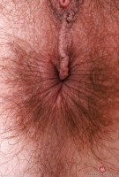 ATK hairy Sia Wood in young and hairy