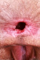 ATK hairy Sia Wood Set