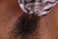 ATK hairy  in exotic and hairy