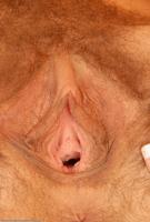 ATK hairy  in scary hairy