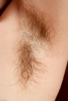 ATK hairy  in scary hairy