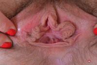 ATK hairy Simone Delilah Set