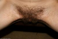 ATK hairy Siren Set
