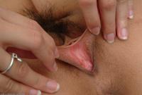 ATK hairy  in exotic and hairy