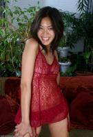 ATK hairy Starlingz Set