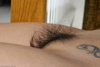 ATK hairy  in exotic and hairy