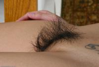 ATK hairy Starlingz Set