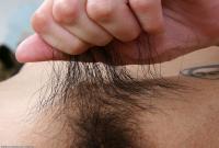 ATK hairy  in exotic and hairy