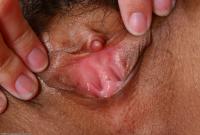 ATK hairy Starlingz in exotic and hairy