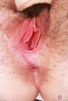 ATK hairy Stacey Barnes Set