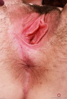 ATK hairy Stacey Barnes Set