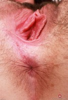 ATK hairy Stacey Barnes Set