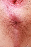 ATK hairy Stacey Barnes Set